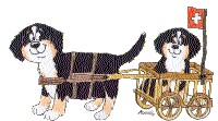 (c) photodisc